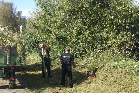 Intensive Holz- und Mäharbeiten am Zandersee